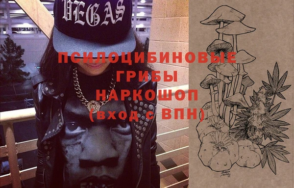 ПСИЛОЦИБИНОВЫЕ ГРИБЫ Липки